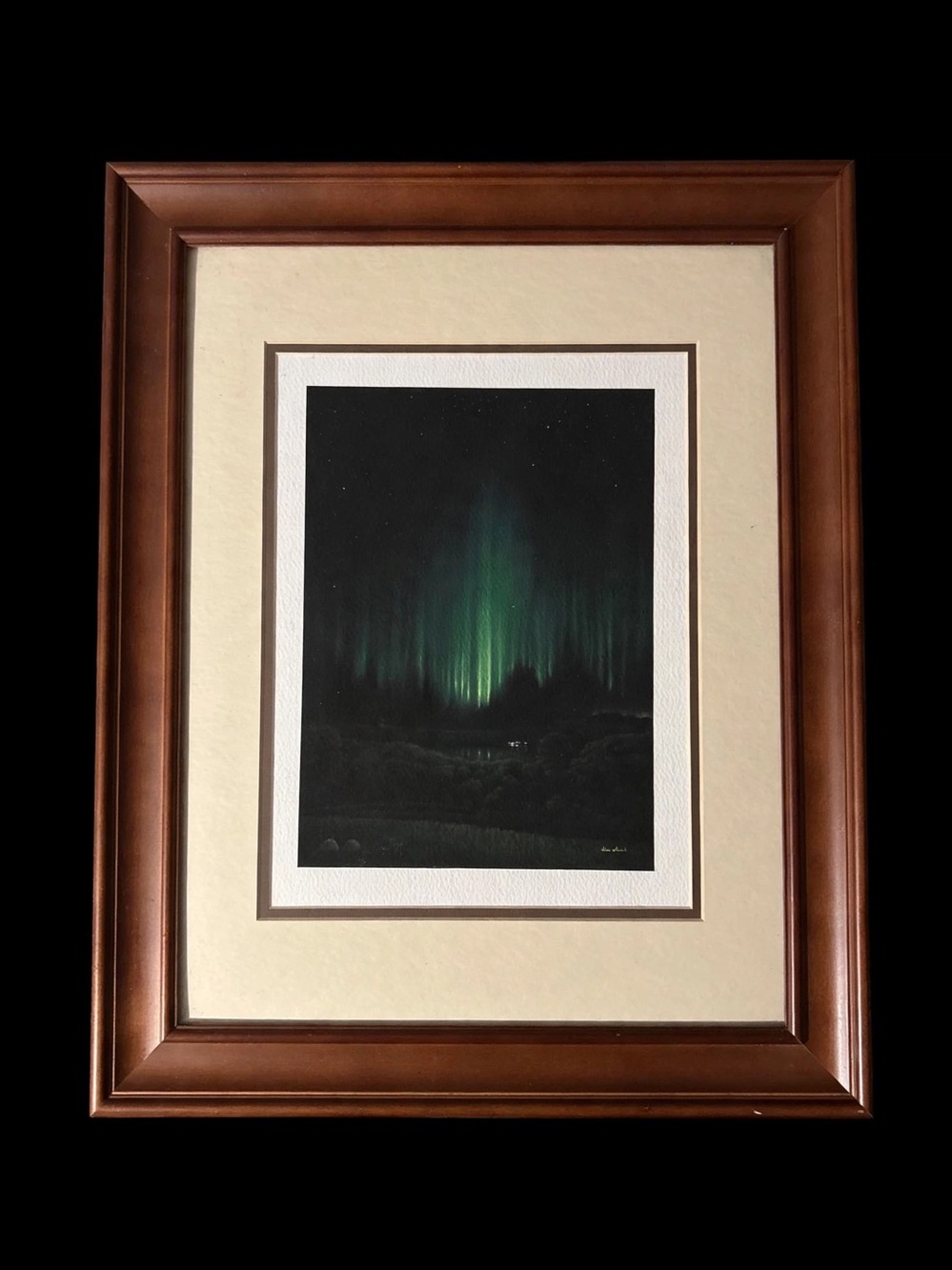 Dan Clark Northern Lights Giclée Art Print Framed + COA - Aurora Borealis